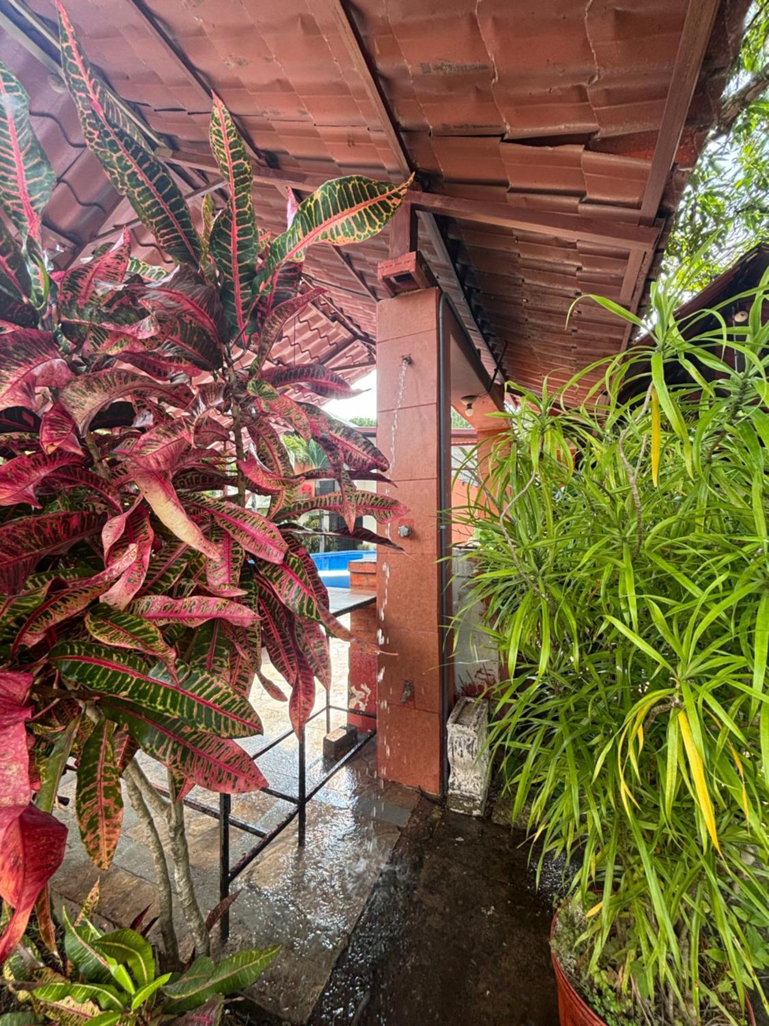 El Roble Casa Jana 아파트 외부 사진